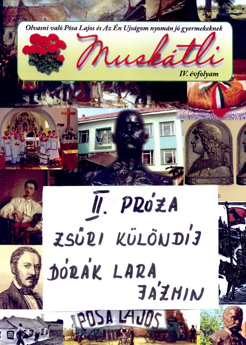 dlkdij resize