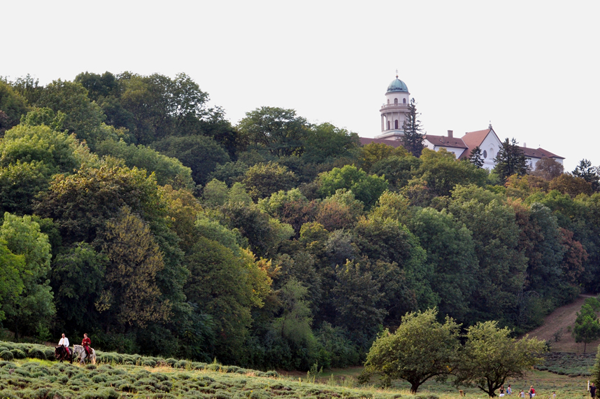 Pannonhalmi Apátság és gyógynövénykert
